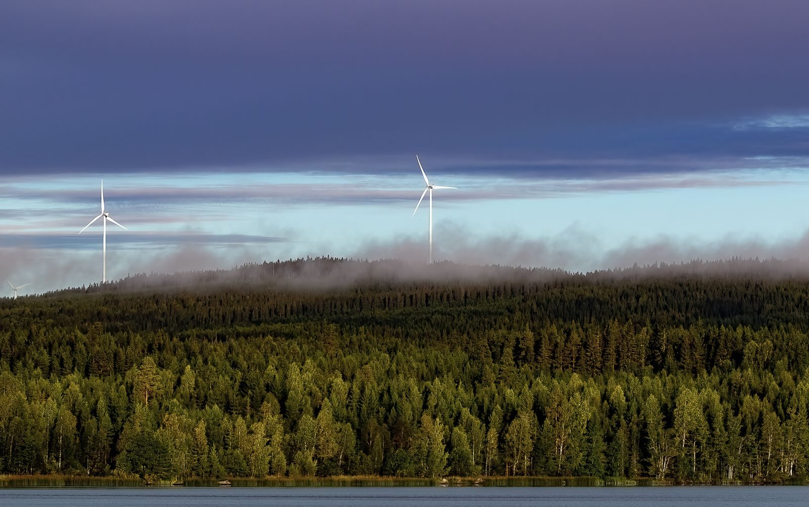 Tuulivoimaloita metsäisen maiseman yllä pilvisellä säällä.