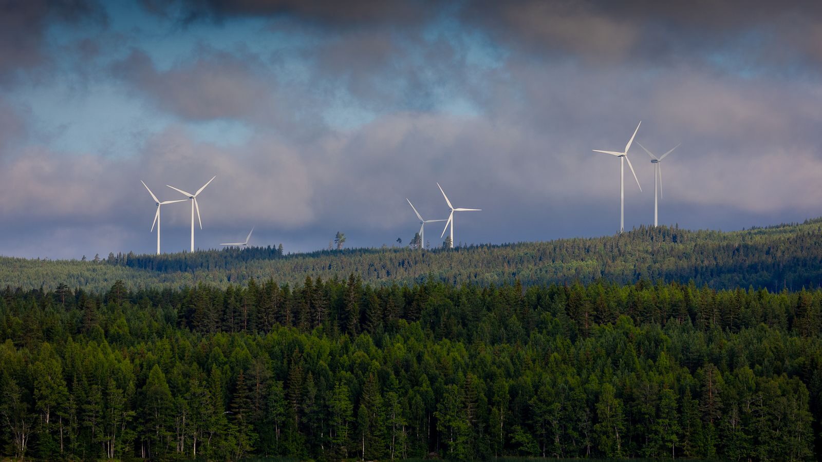 Tuulivoimaloita metsäisellä harjanteella pilvisen taivaan alla