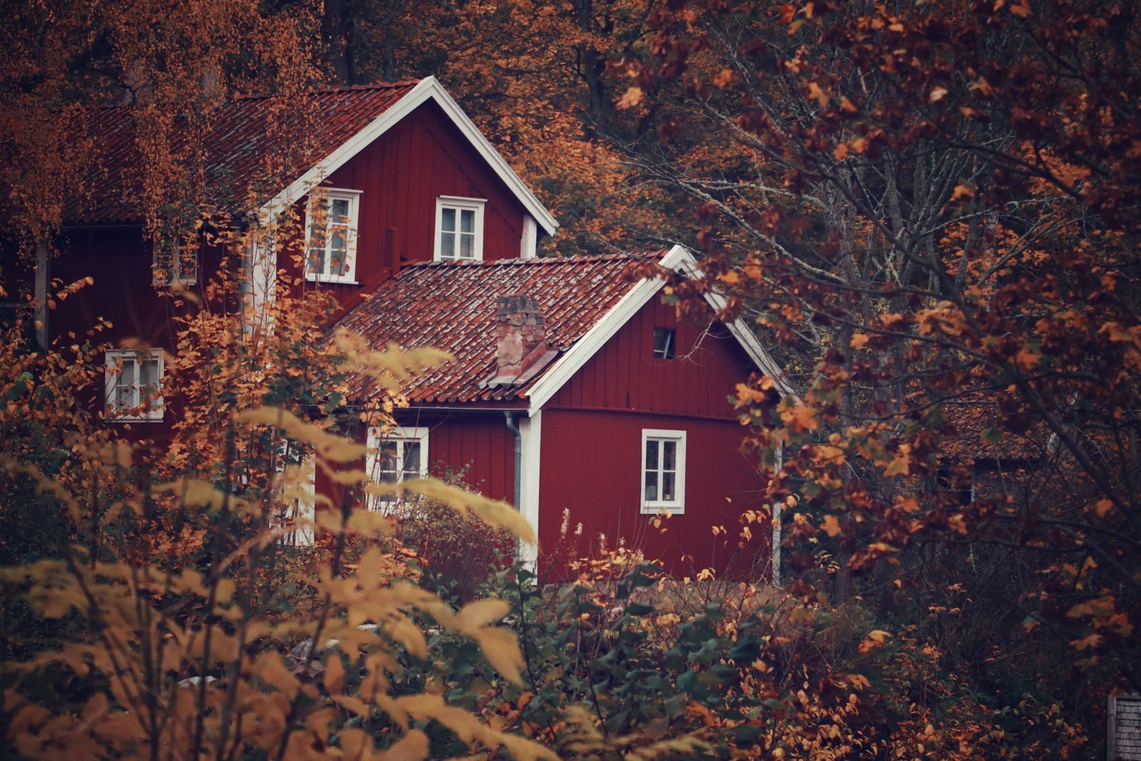 Punainen puutalo syksyn väristen puiden keskellä.