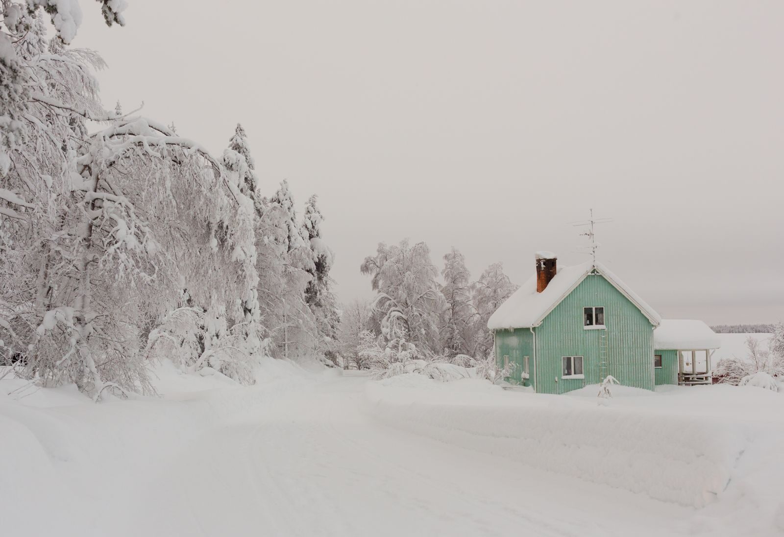 Vihreä mökki lumisen metsän laidalla talvella
