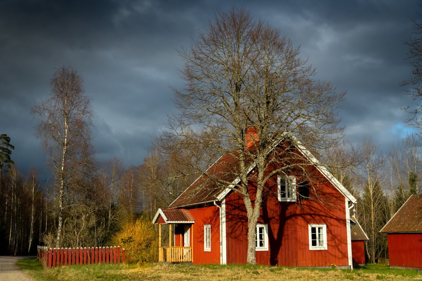Punainen puutalo metsän reunassa, kuvituskuva sähkösopimuksen valinnasta