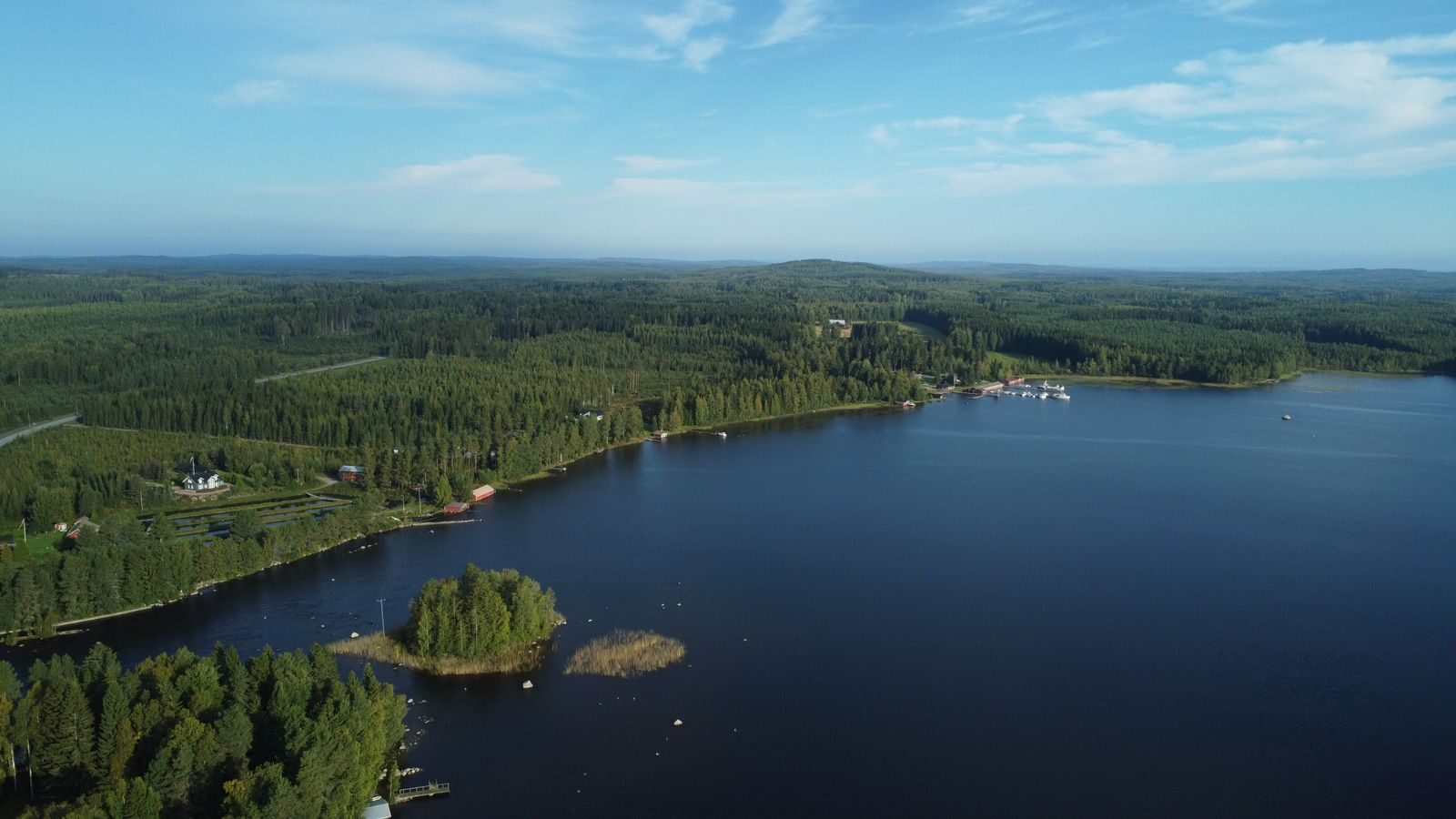 Ilmakuva metsäisen järven rannasta Suomessa