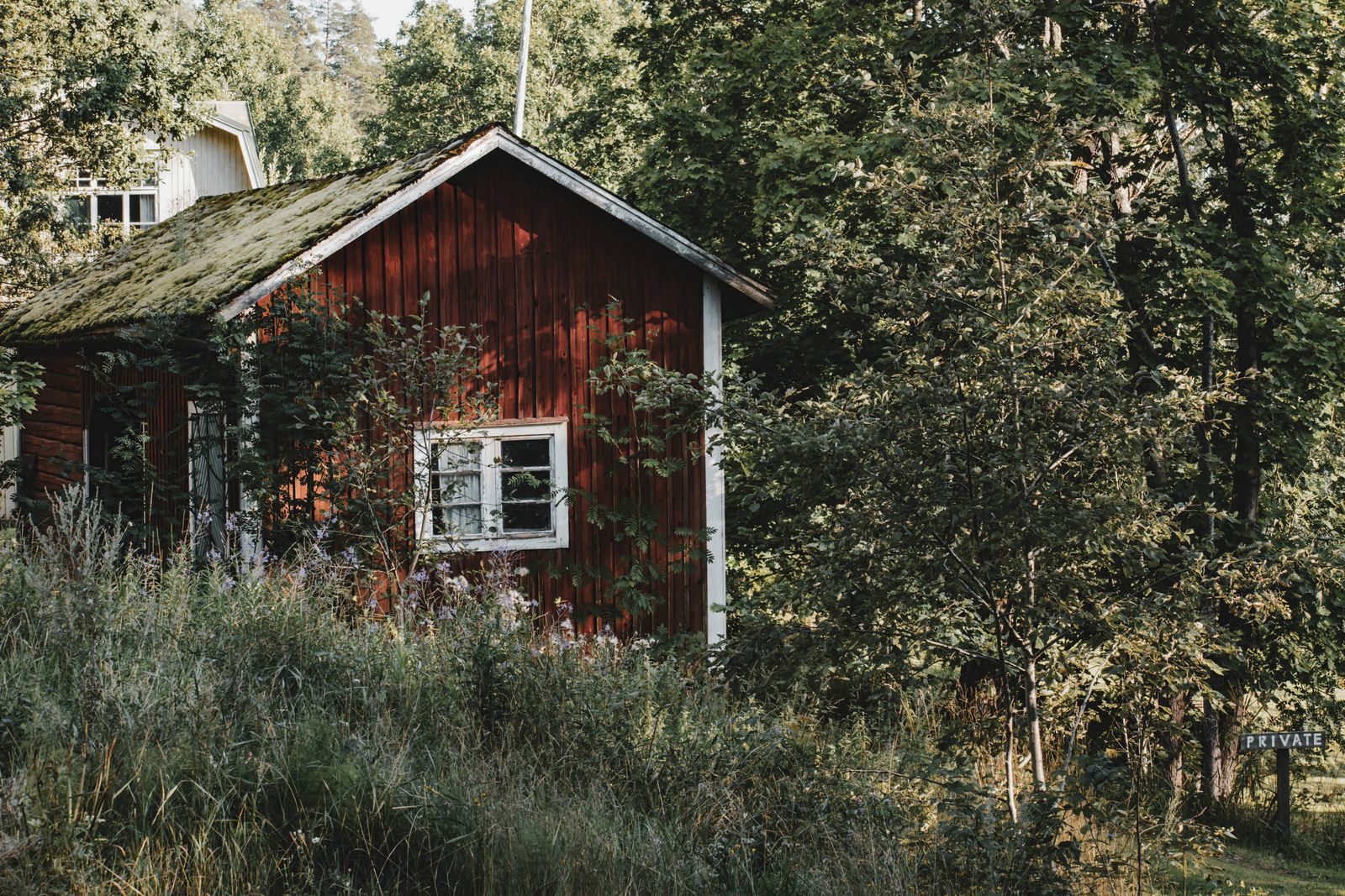 Punainen puutalo metsän keskellä kesällä