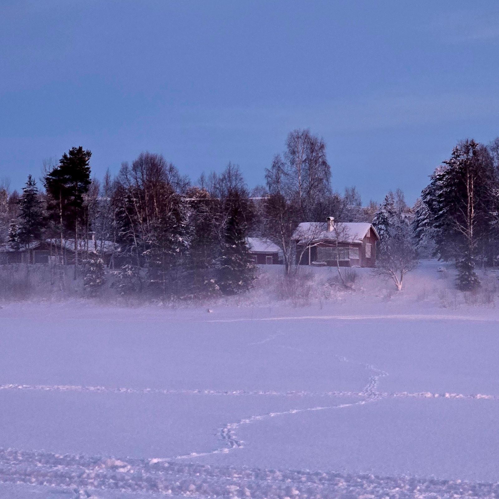 Puutalo lumisen pellon ja puiden takana hämärässä.