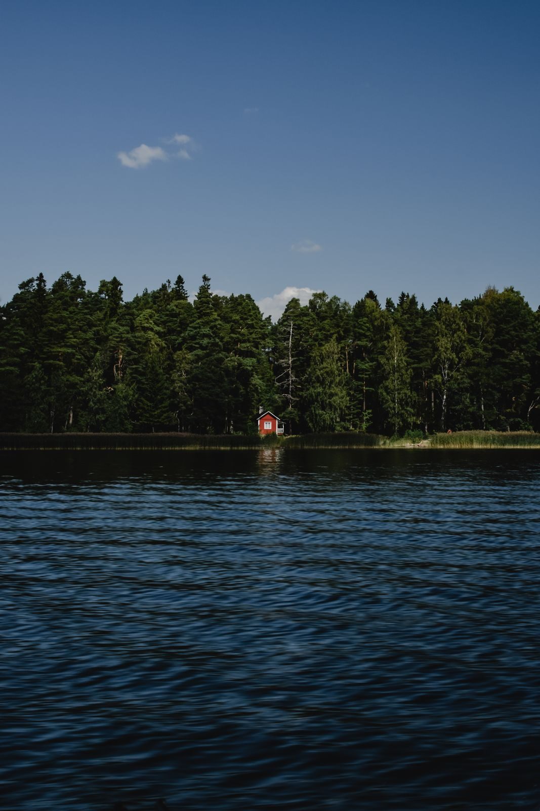 Punainen mökki metsäisellä järvenrannalla kesällä.