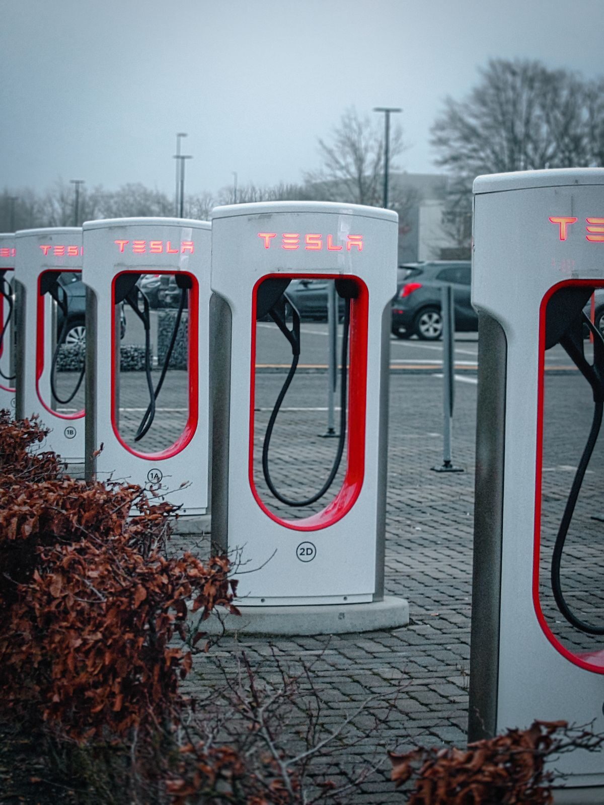Valkoisia ja punaisia Tesla Supercharger -latauspisteitä pysäköintialueella.
